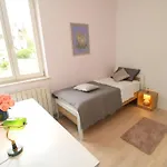 Apartman Comfort & Bright 3 Bedroom